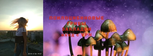 ГАЛЛЮЦИНОГЕННЫЕ ГРИБЫ Абдулино