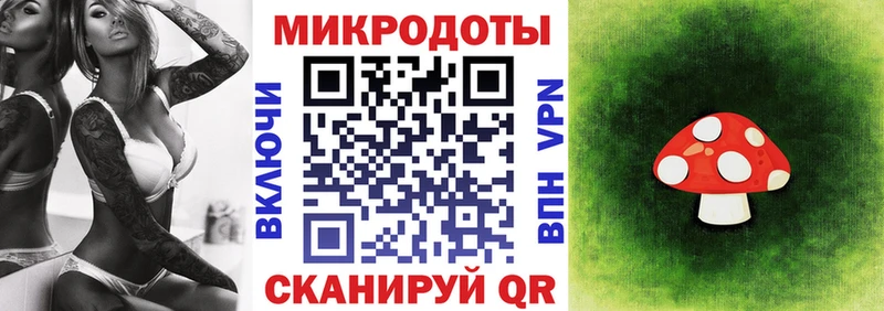 Галлюциногенные грибы мицелий  закладка  Электрогорск 